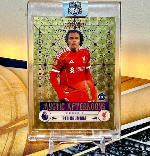 2025-26 EPL MERLIN CASE #7