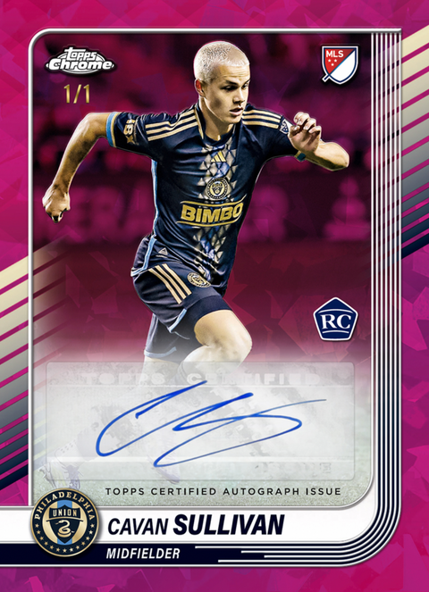 2025 MLS SAPPHIRE CASE #3